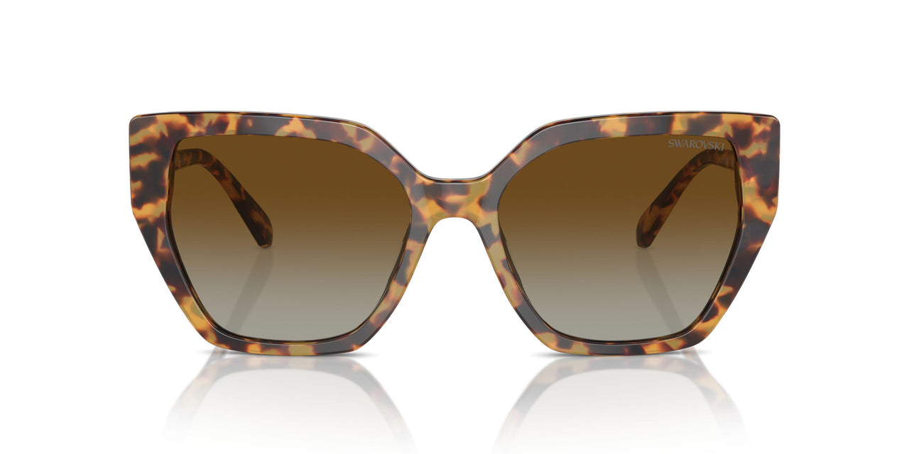 1004T5 - Tortoise - Brown