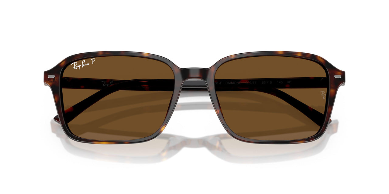 902/57 - Tortoise - B-15 Brown