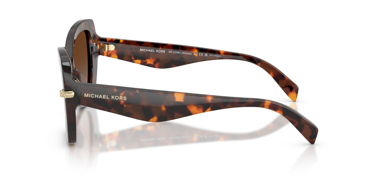 4031T5 - Tortoise - Brown Gradient Polar