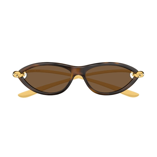 002 - Havana/Gold - Brown