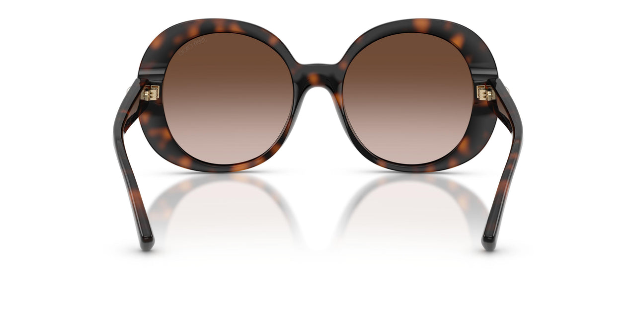 500213 - Tortoise - Brown Gradient