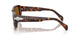 24/33 - Tortoise - Brown