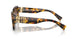 VAU6S1 - Tortoise - Brown Gradient