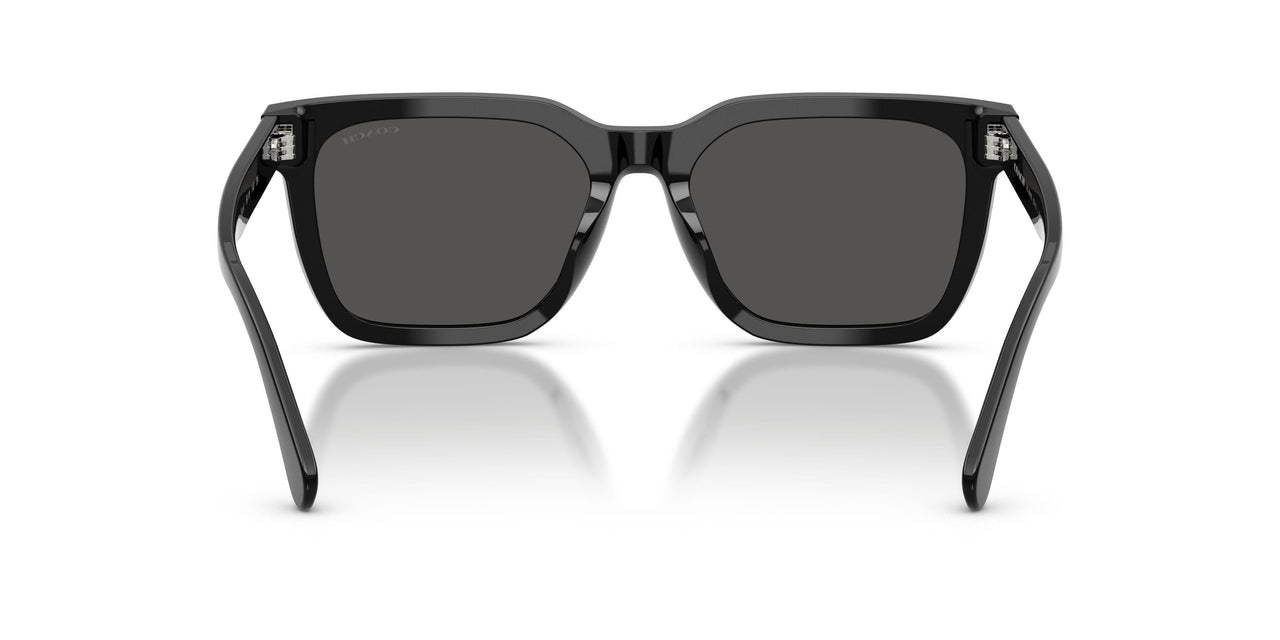 500287 - Black - Grey Solid