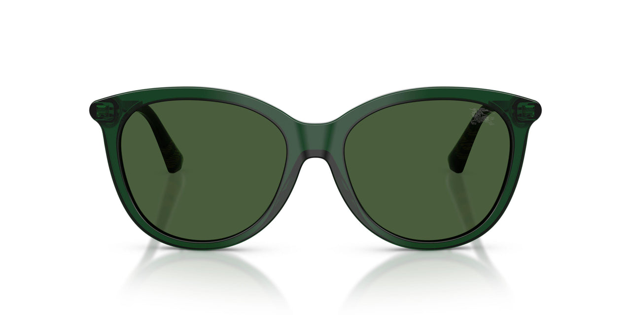 416271 - Green - Dark Green