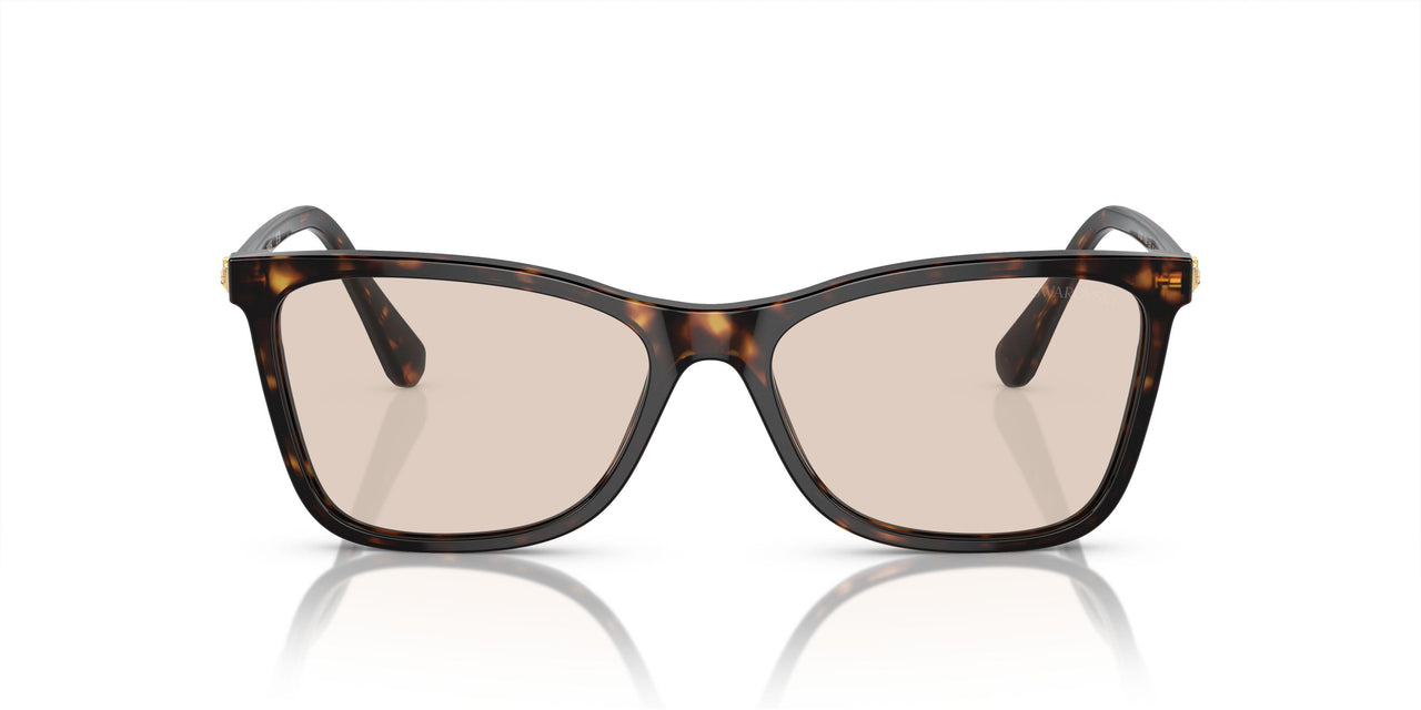 1002M4 - Brown - Photo Brown