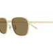 001 - Gold - Brown
