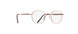 3630 - Glossy Rosegold