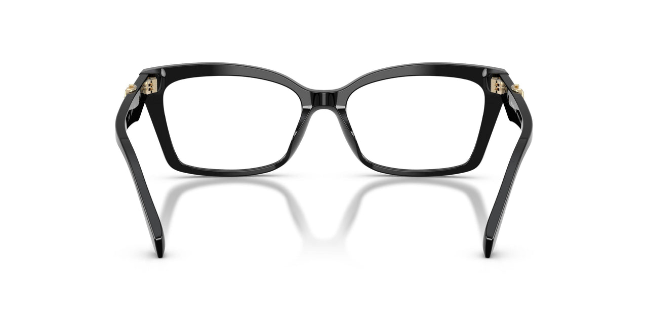 3005 - Black