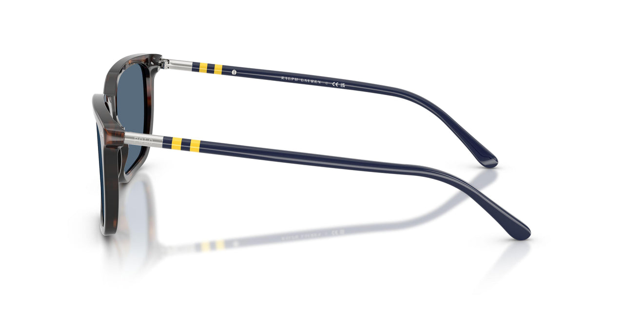 500380 - Tortoise - Dark Blue