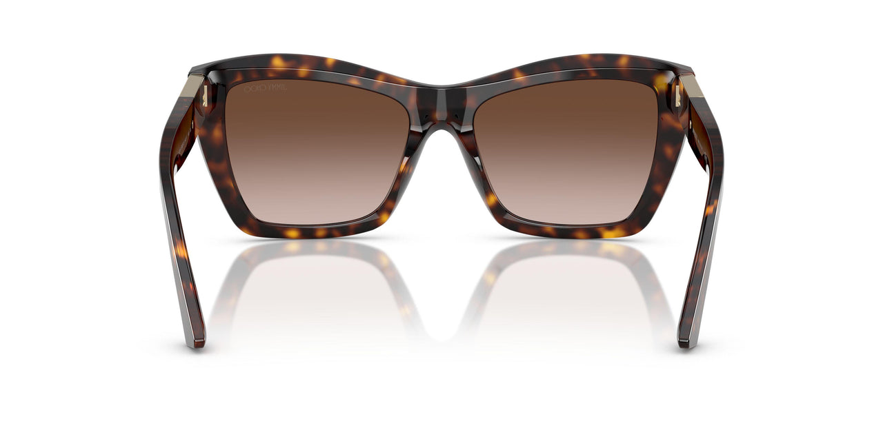 500213 - Tortoise - Gradient Brown