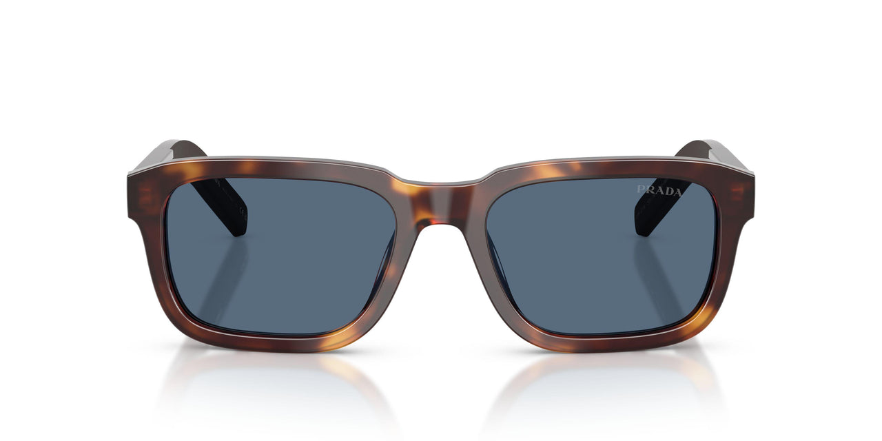 15W06A - Tortoise - Dark Blue