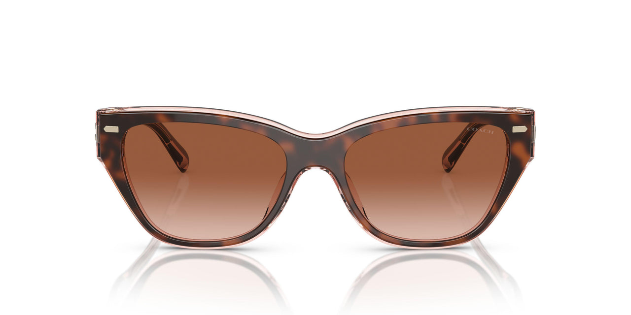 574413 - Tortoise - Brown Pink Gradient