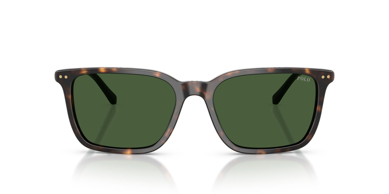567371 - Tortoise - Bottle Green