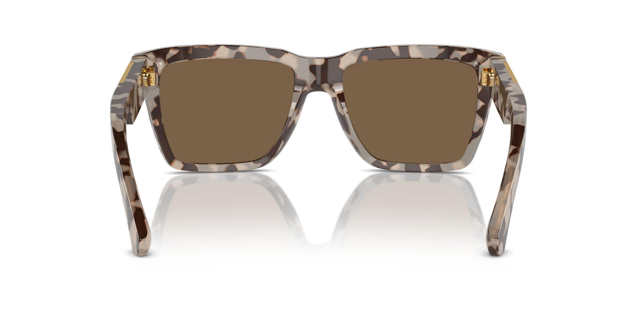 343473 - Beige - Dark Brown