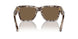 343473 - Beige - Dark Brown