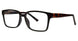 BLCKTRTS - Black/Tortoise