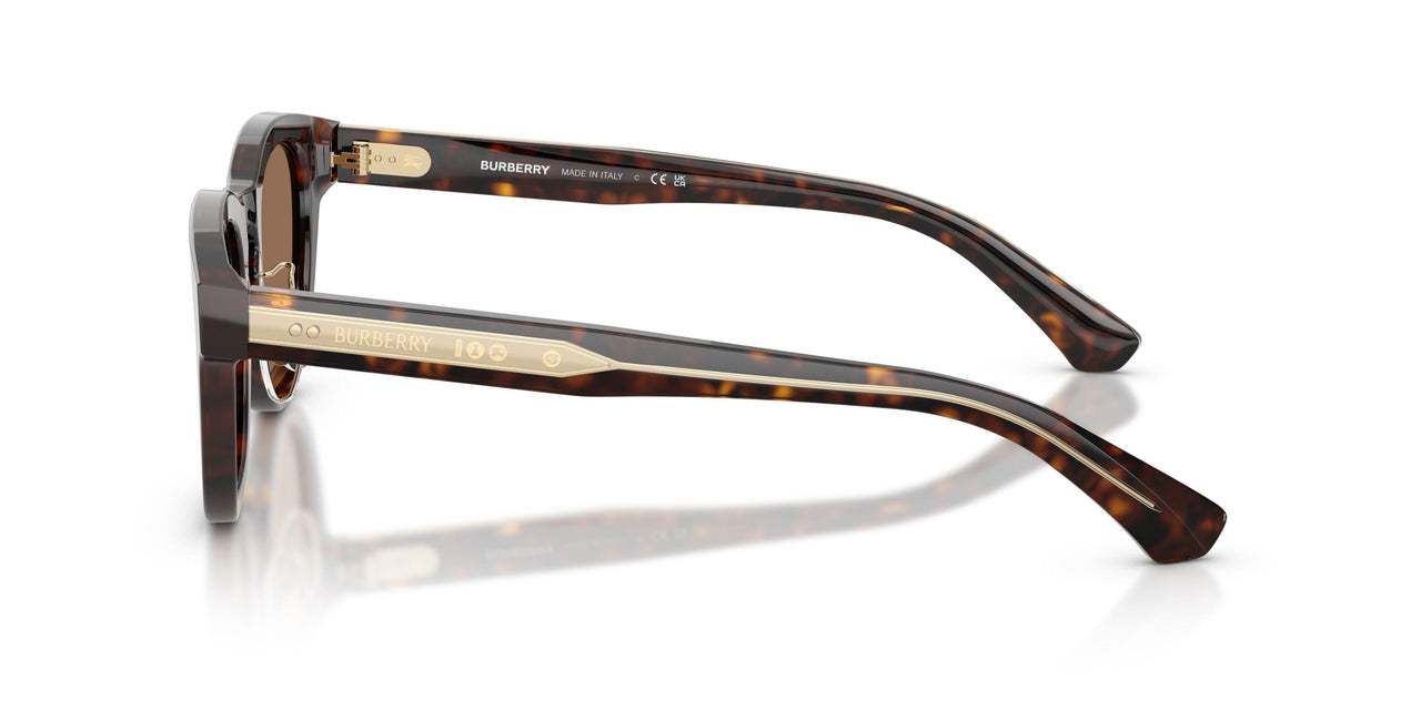 420573 - Brown - Dark Brown