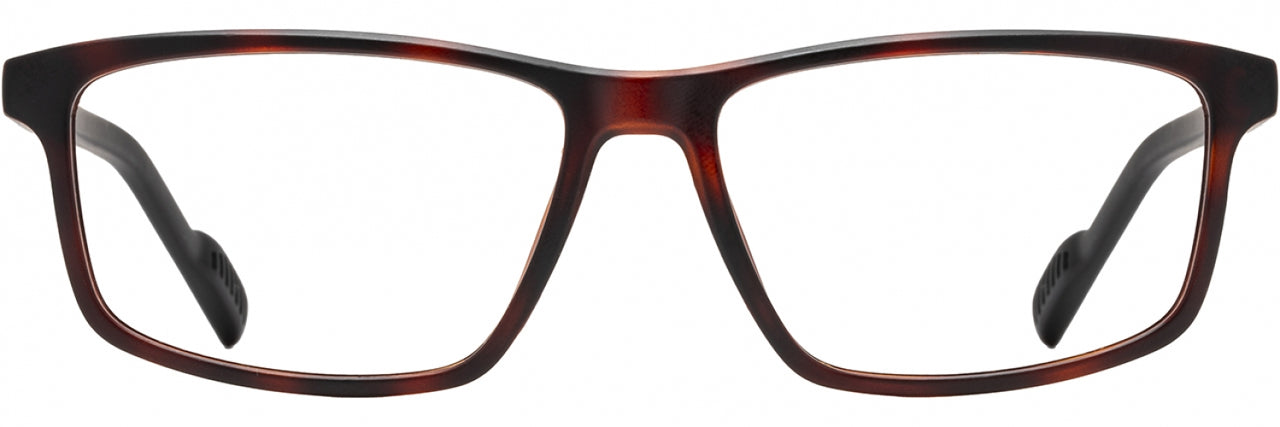 1 - Tortoise / Black / Olive