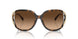 512074 - Tortoise - Brown Gradient