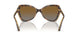 1508T5 - Havana - Polar Grey Gradient Brown