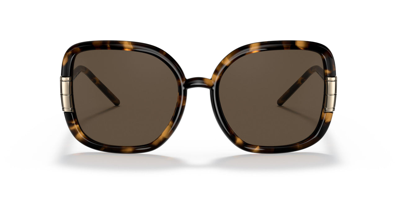 151973 - Havana - Solid Brown