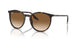 902/51 - Tortoise - Clear/brown