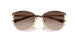 507813 - Brown - Gradient Brown