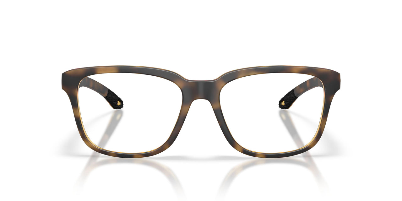 803202 - Tortoise