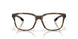 803202 - Tortoise