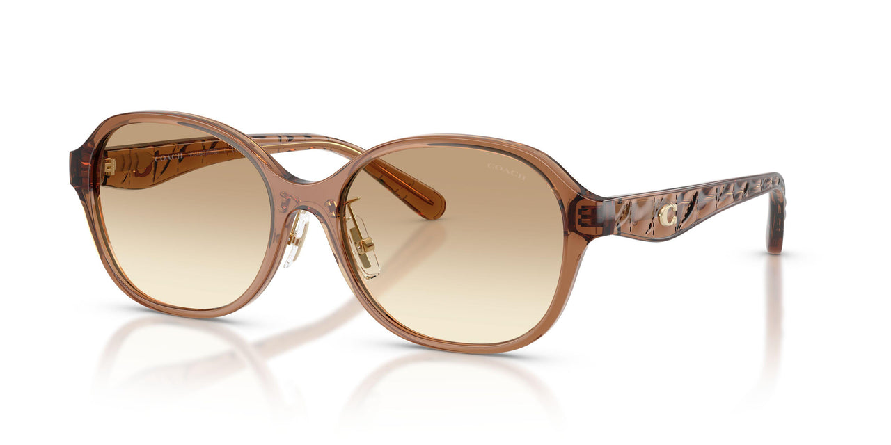 565413 - Brown - Clear Brown