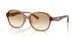 565413 - Brown - Clear Brown