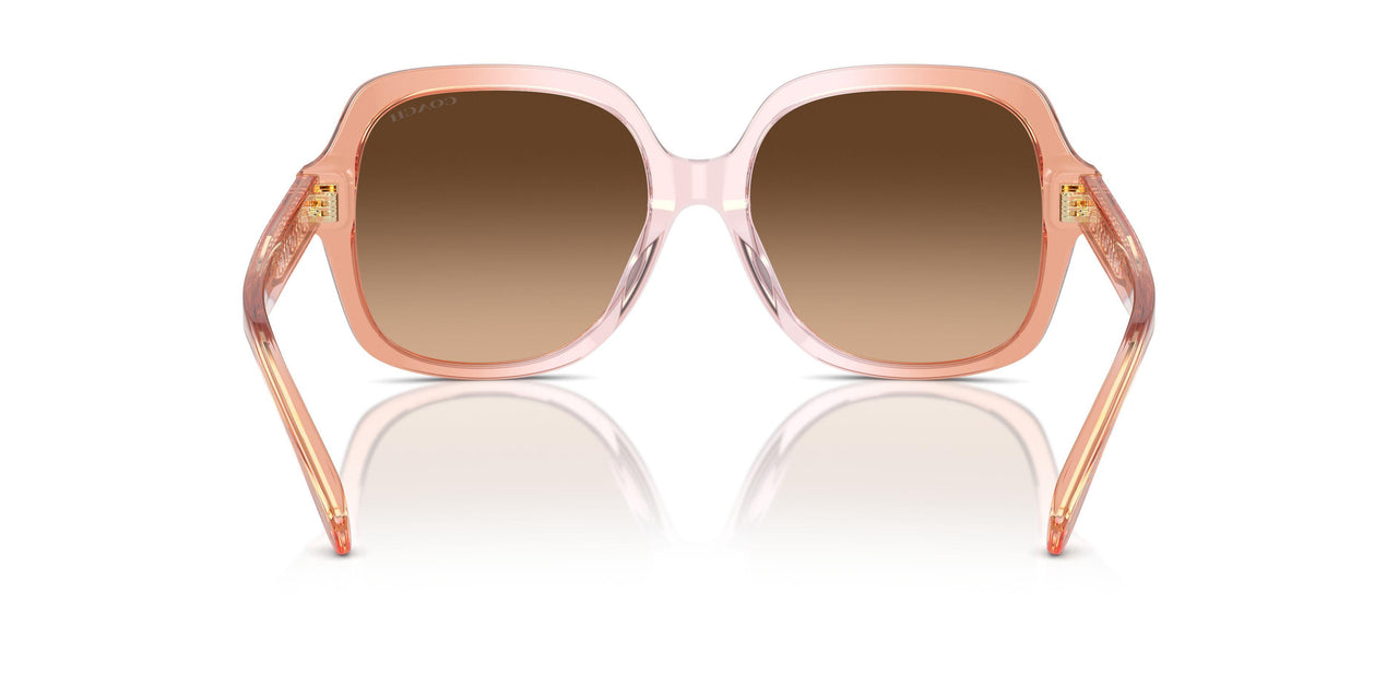 581274 - Brown - Brown Gradient