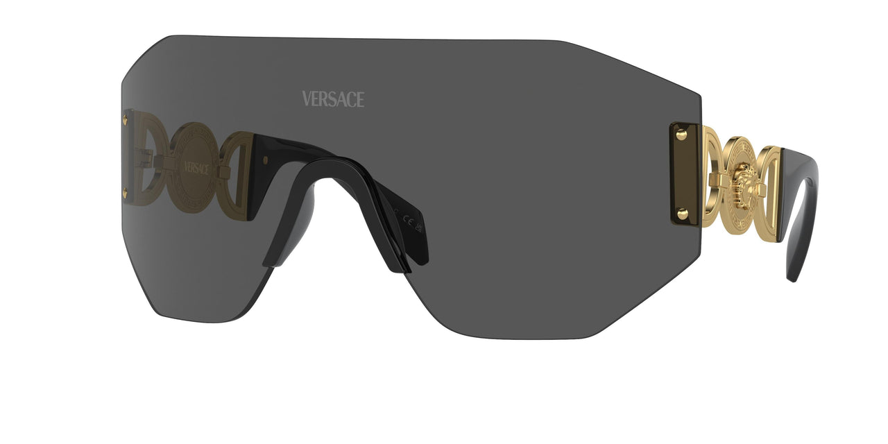 Versace 2258 Sunglasses