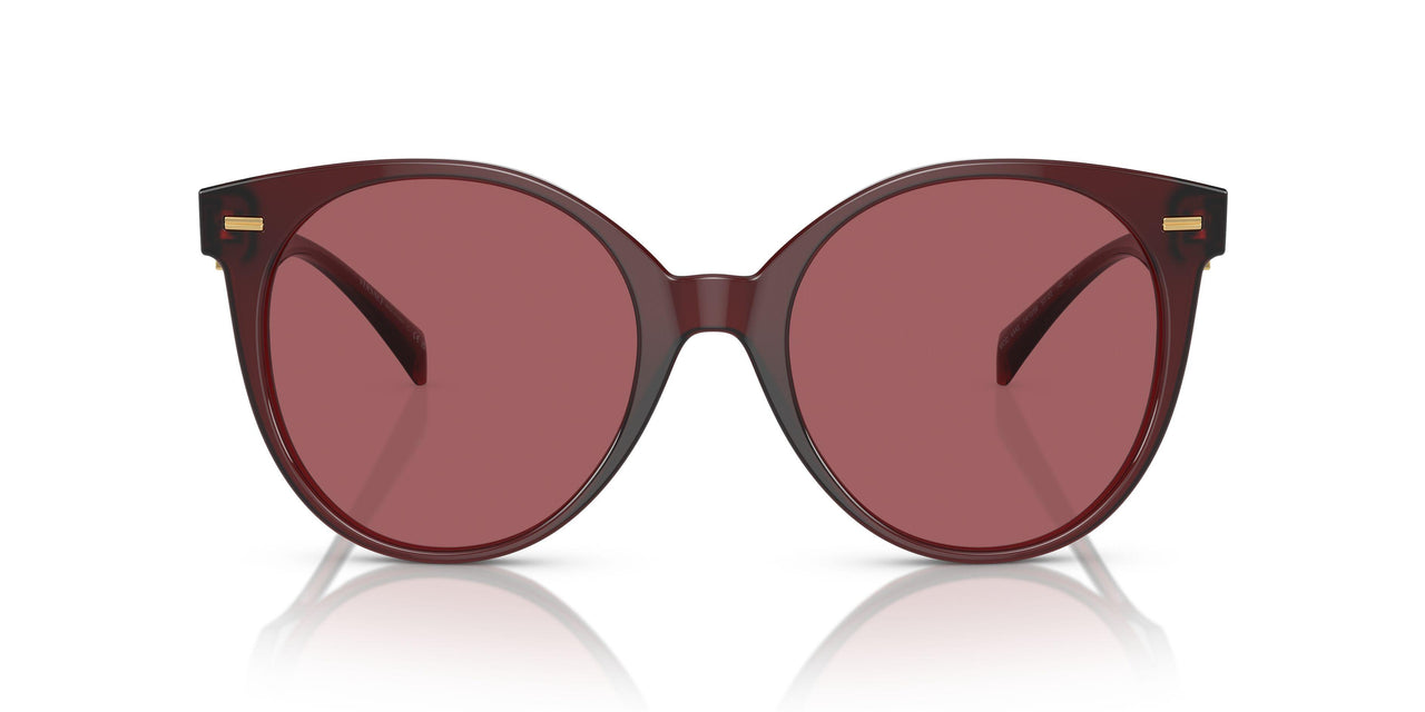 541069 - Red - Dark Violet