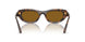 271883 - Brown - Dark Brown Polar