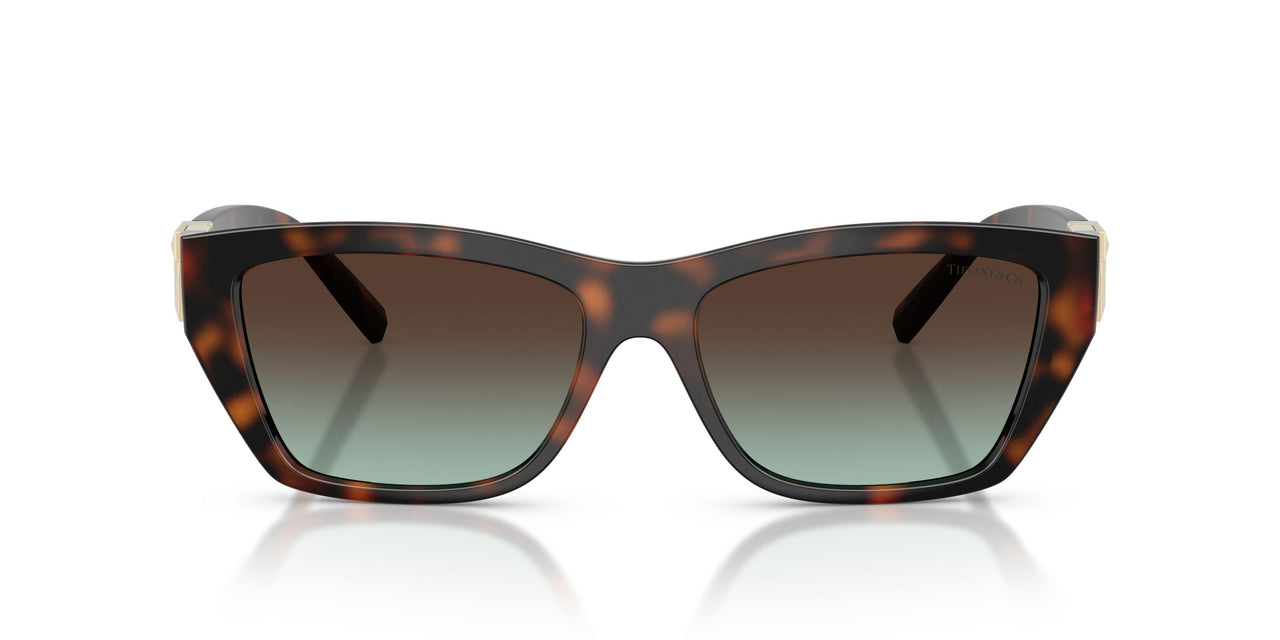 80155D - Tortoise - Azure Gradient Brown