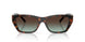 80155D - Tortoise - Azure Gradient Brown