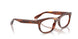 2144 - Brown - Clear