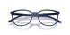 3009 - Blue