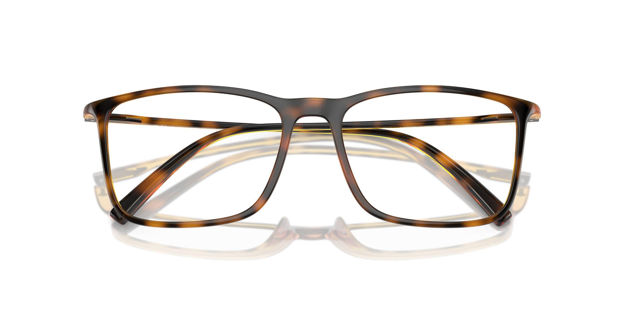 5026 - Tortoise
