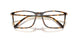 5026 - Tortoise