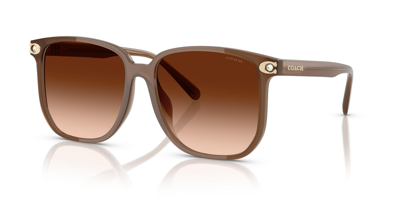 580874 - Brown - Brown Gradient