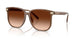 580874 - Brown - Brown Gradient