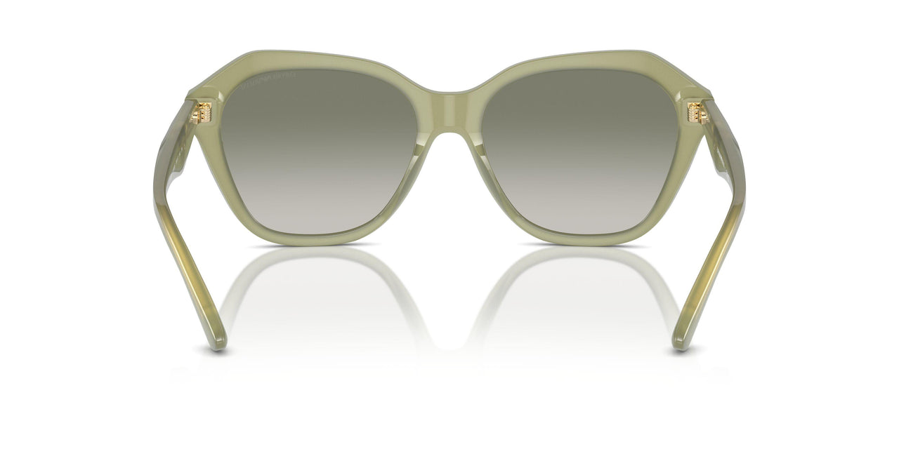 61168E - Green - Gradient Green