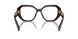 16N1O1 - Tortoise
