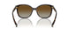 2AU6E1 - Tortoise - Polar Brown Gradient