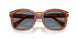 96/56 - Brown - Light Blue