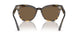 100373 - Havana - Brown