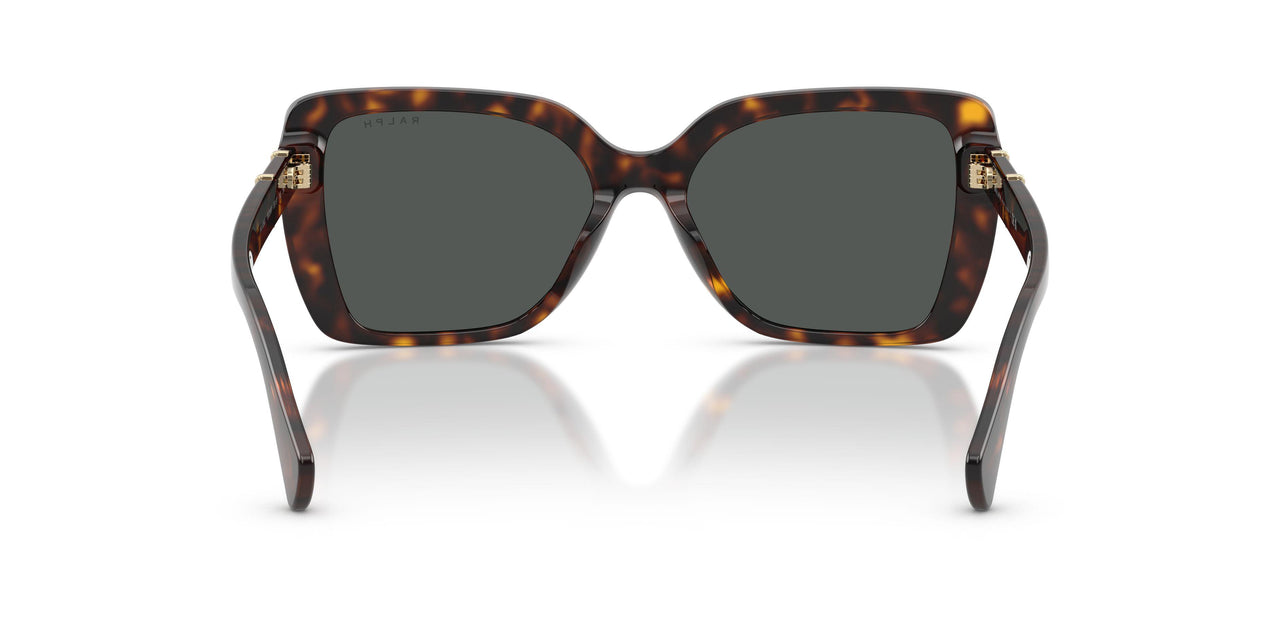 500387 - Brown - Grey